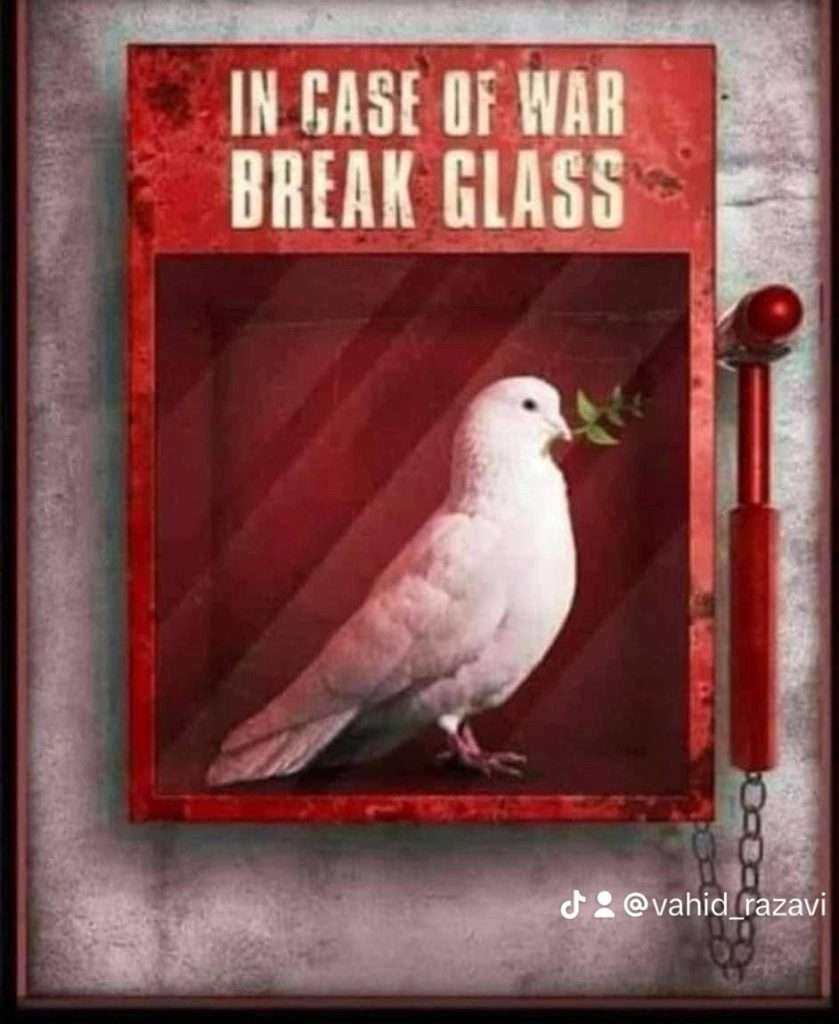 Join the “Peace Dove Training School of Silicon Valley!”